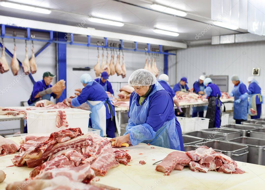Cutting meat in slaughterhouse. Butcher cutting pork at the meat manufacturing.