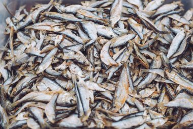 Balık pazarında balık sprats. Taze organik balık.