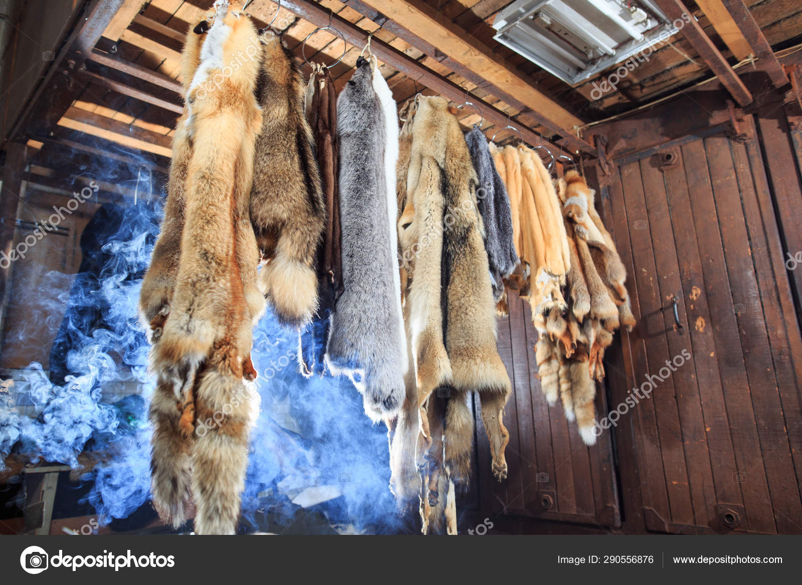 Fur killed foxes, raccoons, wolves, beavers, mink, nutria hangs after