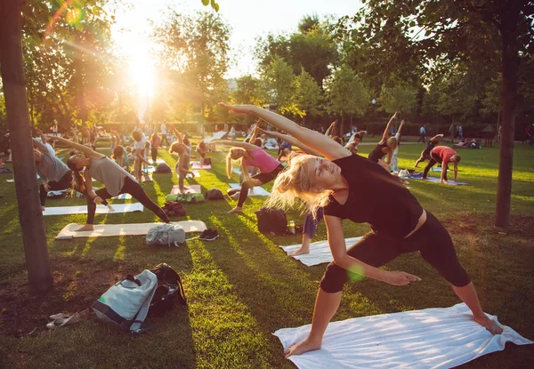 一群年轻人在日落时分在公园里做瑜伽. — 图库照片