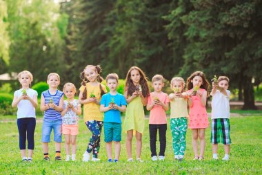 İnsanlar Eller Cupping Bitki Yetiştirme Çevre.