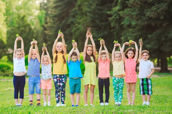 Menschen Hände Schröpfpflanze in Pflege Umwelt. — Stockfoto