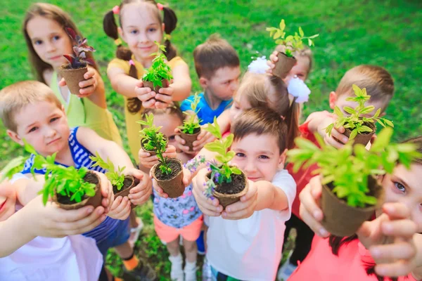 People Hands Cupping Plant In Nurture Environmental.