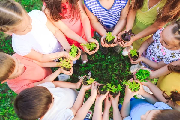 People Hands Cupping Plant In Nurture Environmental.