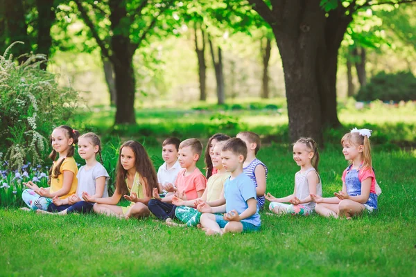 Un gran grupo de niños dedicados al yoga en el Parque sentados sobre la hierba —  Fotos de Stock