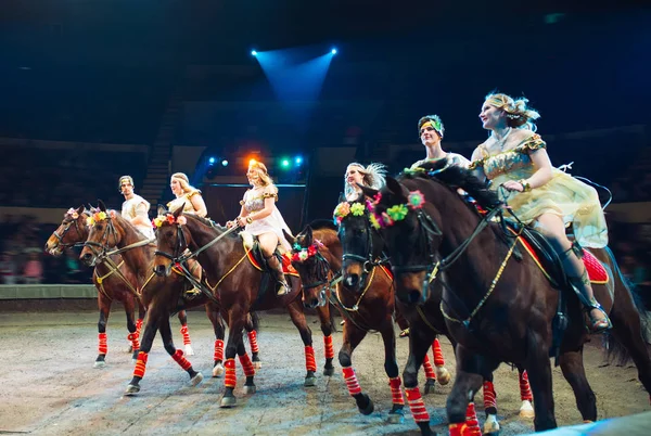 Horses in the circus. Speech horses with trainers on the stage of the circus.