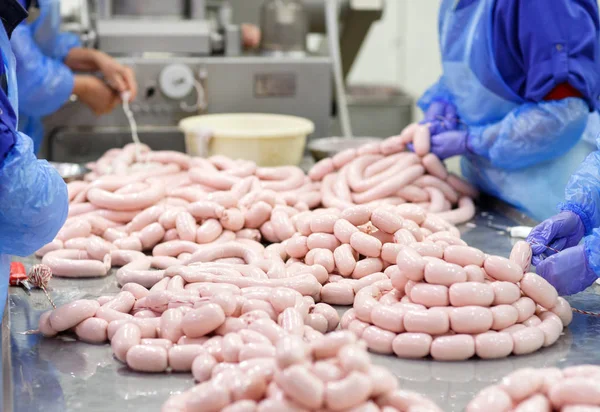 Мясники перерабатывают колбасы на мясокомбинате — стоковое фото