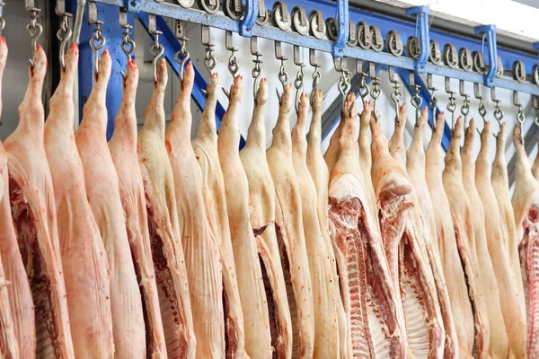Свиные туши, разрезанные пополам, хранятся в холодильной камере завода по переработке продуктов питания — стоковое фото