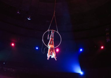 Hava acrobat içinde belgili tanımlık çalmak. Genç bir kız akrobatik öğeleri hava ringde gerçekleştirir.