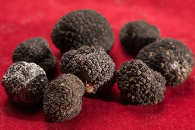 Kırmızı arka plan üzerinde izole siyah trüf.
