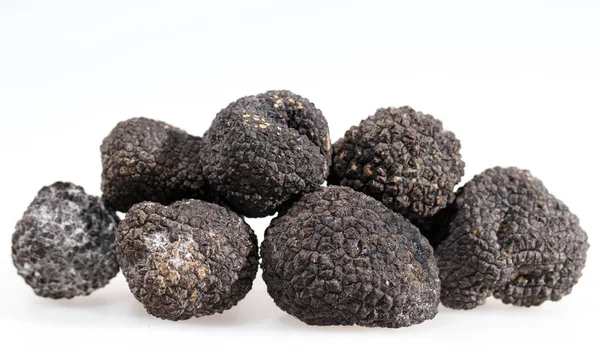 Black truffles isolated on a white background. — Stock Photo, Image