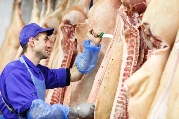 Rzeźnik do cięcia mięsa wieprzowego w przemyśle mięsnym — Zdjęcie stockowe