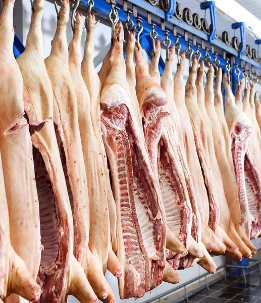 Cadenas de cerdo cortadas por la mitad almacenadas en la sala de refrigeración de la planta de procesamiento de alimentos — Foto de Stock