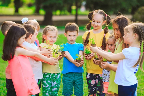 Las manos de los niños plantan árboles jóvenes en suelo negro juntos como el concepto del mundo del rescate . —  Fotos de Stock