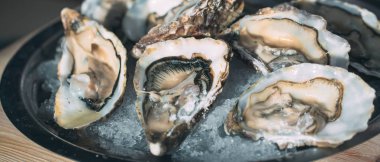 Ahşap arka planda siyah bir plaka üzerinde istiridye.