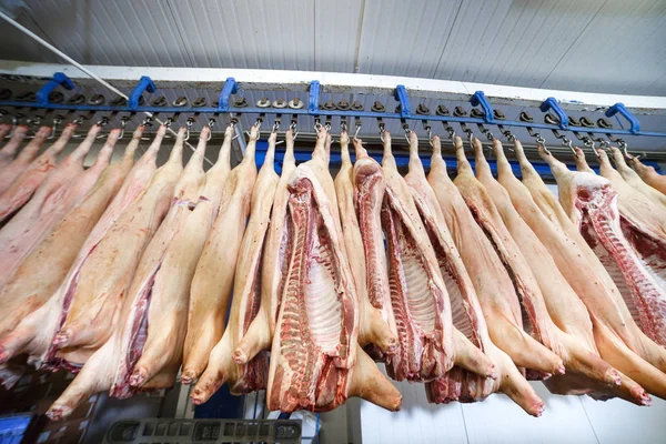 Domuz leşleri buzdolabı gıda işleme tesisi odasında depolanan ikiye böldüm — Stok fotoğraf