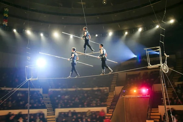 Den Tightrope vandrare på Circus Arena. — Stockfoto