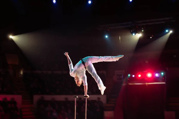 Acrobacias aéreas de Mans en el anillo del circo . — Foto de Stock