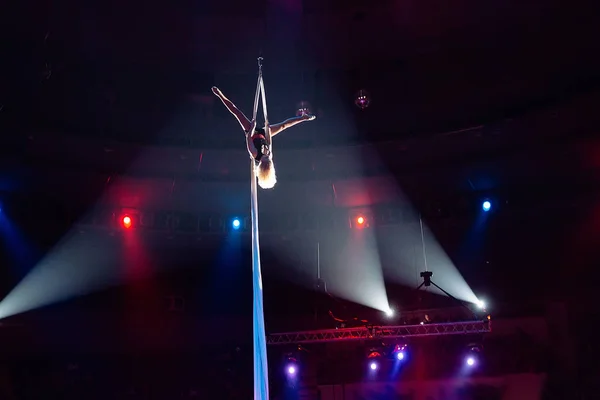 Flickor Aerial akrobatik i cirkus ring. — Stockfoto