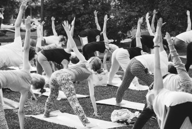 Bir grup genç gün batımında Park'ta yoga yapıyor.