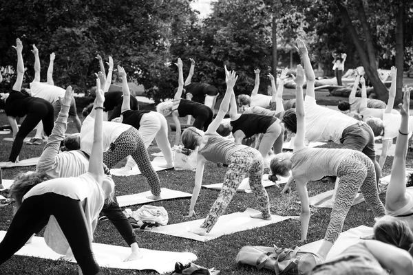 Bir grup genç gün batımında Park'ta yoga yapıyor.