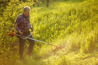 Çim biçme makinesi. Gün batımında çimenleri biçen işçi.