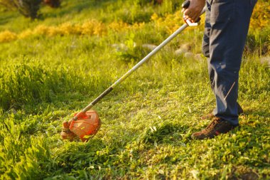 Çim biçme makinesi. Gün batımında çimenleri biçen işçi.