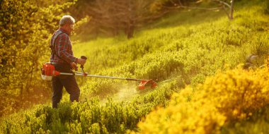 Çim biçme makinesi. Gün batımında çimenleri biçen işçi.