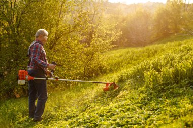 Çim biçme makinesi. Gün batımında çimenleri biçen işçi.