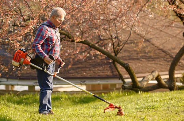 Podadora - trabajador de corte de césped en el patio verde al atardecer — Foto de Stock