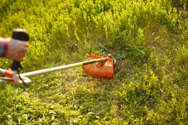 Maaimachine - werknemer maait gras in groene tuin bij zonsondergang — Stockfoto