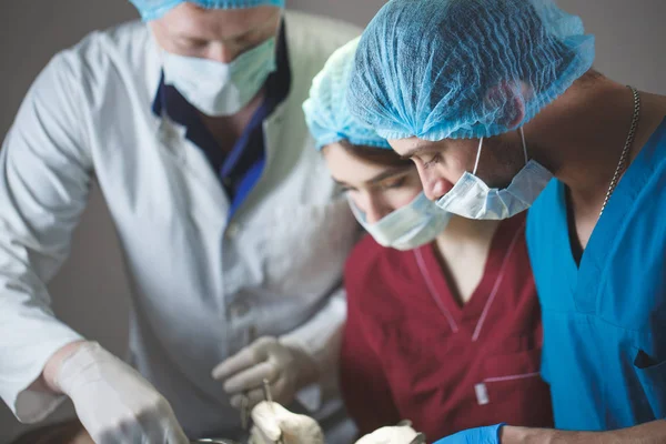 Group of surgeons at work operating in surgical theatre. Resuscitation medicine team wearing protective masks holding steel medical tools — Stock Photo, Image