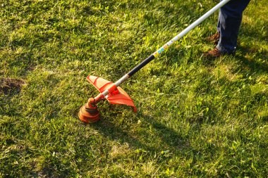 Çim biçme makinesi. Gün batımında çimenleri biçen işçi.