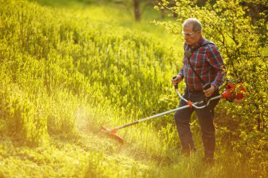 Çim biçme makinesi. Gün batımında çimenleri biçen işçi.