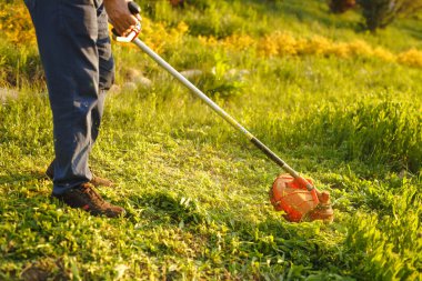 Çim biçme makinesi. Gün batımında çimenleri biçen işçi.
