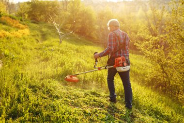 Çim biçme makinesi. Gün batımında çimenleri biçen işçi.