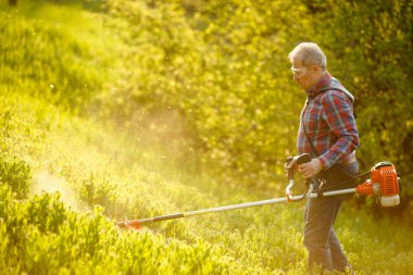 Çim biçme makinesi. Gün batımında çimenleri biçen işçi.