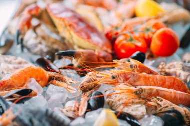 Buzlu deniz ürünleri. Yengeç, mersin balığı, kabuklu deniz hayvanı, karides, Rapana, Dorado, beyaz buz üzerinde.