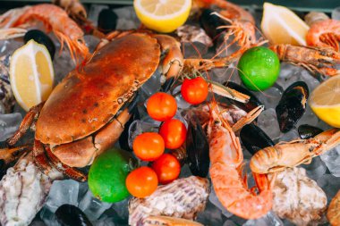 Buzlu deniz ürünleri. Yengeç, mersin balığı, kabuklu deniz hayvanı, karides, Rapana, Dorado, beyaz buz üzerinde.