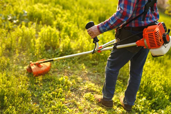 Podadora - trabajador de corte de césped en el patio verde al atardecer —  Fotos de Stock