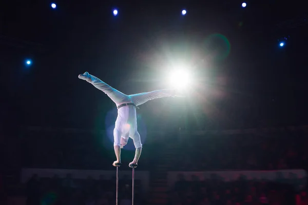 Acrobacias aéreas de Mans en la arena del circo . — Foto de Stock