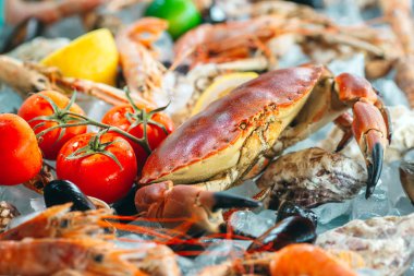 Buzlu deniz ürünleri. Yengeç, mersin balığı, kabuklu deniz hayvanı, karides, Rapana, Dorado, beyaz buz üzerinde.