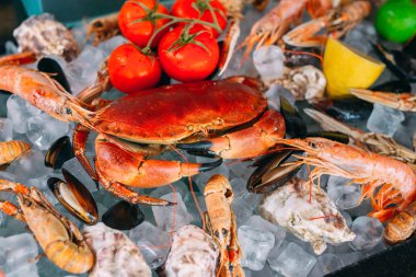 Buzlu deniz ürünleri. Yengeç, mersin balığı, kabuklu deniz hayvanı, karides, Rapana, Dorado, beyaz buz üzerinde.