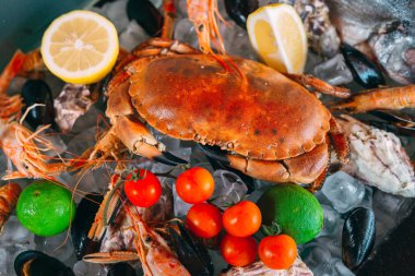 Buzlu deniz ürünleri. Yengeç, mersin balığı, kabuklu deniz hayvanı, karides, Rapana, Dorado, beyaz buz üzerinde.