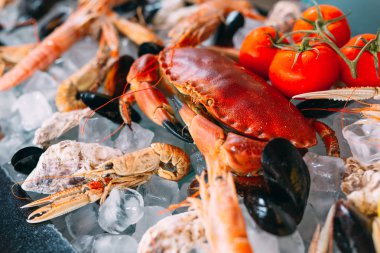 Buzlu deniz ürünleri. Yengeç, mersin balığı, kabuklu deniz hayvanı, karides, Rapana, Dorado, beyaz buz üzerinde.