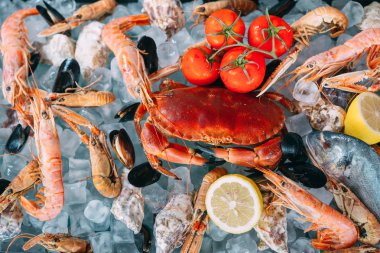 Buzlu deniz ürünleri. Yengeç, mersin balığı, kabuklu deniz hayvanı, karides, Rapana, Dorado, beyaz buz üzerinde.