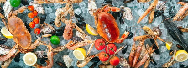 Seafood on ice. Crabs, sturgeon, shellfish, shrimp, Rapana, Dorado, on white ice. — Stock Photo, Image