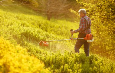 Çim biçme makinesi. Gün batımında çimenleri biçen işçi.