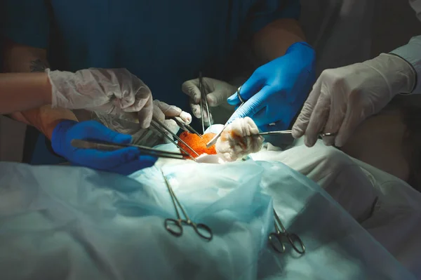Détail rapproché d'une opération. Groupe de chirurgiens au travail opérant en salle d'opération. — Photo