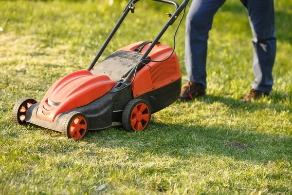 Podadora - trabajador cortando hierba en el patio verde al atardecer. Hombre con cortacésped eléctrico, cortacésped. Jardinero recortando un jardín. —  Fotos de Stock